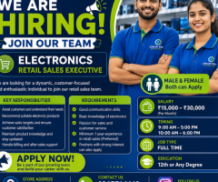 Electronics Retail Sales Executive jobs in Hopes